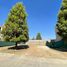  Land for sale in Zapopan, Jalisco, Zapopan