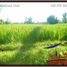  Land for sale in Gianyar Bali, Tegallalang