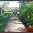  Land for sale in Gianyar Bali, Tegallalang