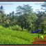  Land for sale in Gianyar Bali, Tegallalang