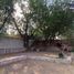  Land for sale in Durango, Durango, Durango, Durango