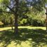 Maison 2 chambre à vendre à Esteban Echeverria, Buenos Aires, Esteban Echeverria