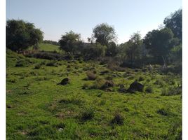  Terreno (Parcela) en venta en Omitlan De Juarez, Hidalgo, Omitlan De Juarez