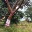  Land for sale in Cuauhtemoc, Colima, Cuauhtemoc