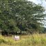  Land for sale in Cuauhtemoc, Colima, Cuauhtemoc