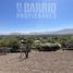  Land for sale in Santiago, Santiago, Santiago, Santiago