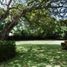 3 Bedroom House for sale in Rio Hato, Anton, Rio Hato