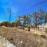  Terreno (Parcela) en venta en Tala, Jalisco, Tala