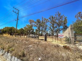  Terreno (Parcela) en venta en Tala, Jalisco, Tala