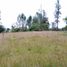 Terrain à vendre à La Ceja, Antioquia, La Ceja, Antioquia