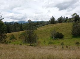 Terrain à vendre à La Ceja, Antioquia, La Ceja, Antioquia