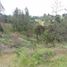 Terrain à vendre à La Ceja, Antioquia, La Ceja, Antioquia