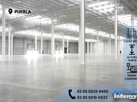Estudio Casa en alquiler en Puebla, Puebla, Puebla