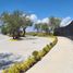  Land for sale in Aguascalientes, Aguascalientes, Aguascalientes, Aguascalientes