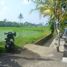  Land for sale in Ubud, Gianyar, Ubud