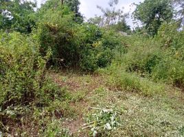  Land for sale in Kalasan, Sleman, Kalasan