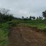  Terrain for sale in Negros Island Region, Bacong, Negros Oriental, Negros Island Region