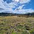  Terreno (Parcela) en venta en Los Lagos, Puerto Montt, Llanquihue, Los Lagos
