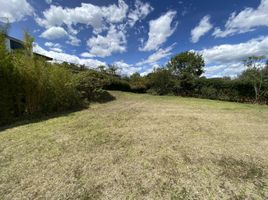  Terrain for sale in Cumbaya, Quito, Cumbaya