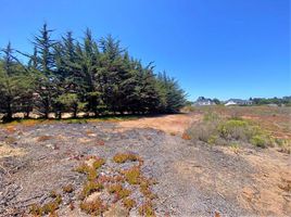  Terreno (Parcela) en venta en Valparaíso, Puchuncavi, Valparaíso, Valparaíso