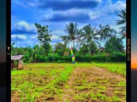  Tanah for sale in Ngajum, Malang Regency, Ngajum