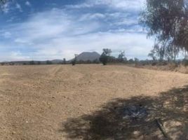  Terreno (Parcela) en venta en Zempoala, Hidalgo, Zempoala
