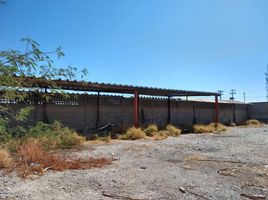  Terreno (Parcela) en alquiler en Torreon, Coahuila, Torreon, Coahuila, México