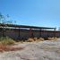  Land for rent in Torreon, Coahuila, Torreon