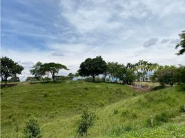  Land for sale in Pereira, Risaralda, Pereira