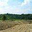  Land for sale in Pengasih, Kulon Progo, Pengasih