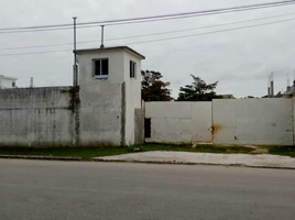  Terreno (Parcela) en alquiler en Carmen, Campeche, Carmen, Campeche, México