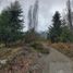  Grundstück zu verkaufen in Bariloche, Rio Negro, Bariloche