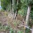  Terreno (Parcela) en venta en Loncoche, Cautín, Loncoche