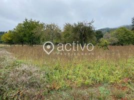  Terreno (Parcela) en venta en Loncoche, Cautín, Loncoche