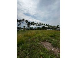  Land for sale in Pereira, Risaralda, Pereira