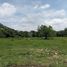  Terreno (Parcela) en venta en Totolapan, Morelos, Totolapan