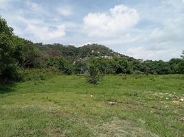  Terreno (Parcela) en venta en Totolapan, Morelos, Totolapan