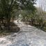  Land for sale in Linares, Nuevo Leon, Linares, Nuevo Leon