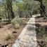  Land for sale in Linares, Nuevo Leon, Linares, Nuevo Leon