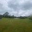 Terrain à vendre à Rionegro, Antioquia, Rionegro, Antioquia