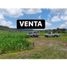  Land for sale in Tenamaxtlan, Jalisco, Tenamaxtlan