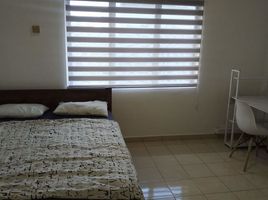 3 Schlafzimmer Wohnung zu vermieten in Selangor, Damansara, Petaling, Selangor