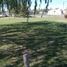  Land for sale in San Vicente, Buenos Aires, San Vicente