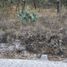  토지을(를) Amealco De Bonfin, Queretaro에서 판매합니다., Amealco De Bonfin