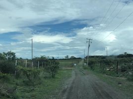  Land for sale in Ixtlahuacan De Los Membrillos, Jalisco, Ixtlahuacan De Los Membrillos