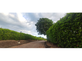  Land for sale in La Mesa, Cundinamarca, La Mesa