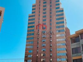 0 SqM Office for rent in Chile, Antofagasta, Antofagasta, Antofagasta, Chile