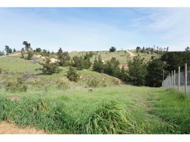  Land for sale in Paredones, Cardenal Caro, Paredones