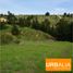  Land for sale in Paredones, Cardenal Caro, Paredones