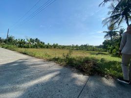  Land for sale in Pengasih, Kulon Progo, Pengasih